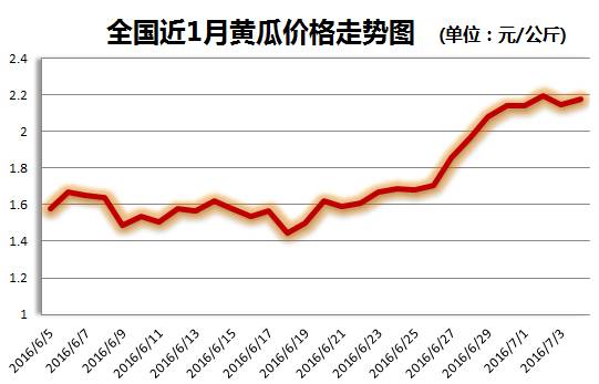 今日黄瓜价格行情分析，最新动态与趋势展望