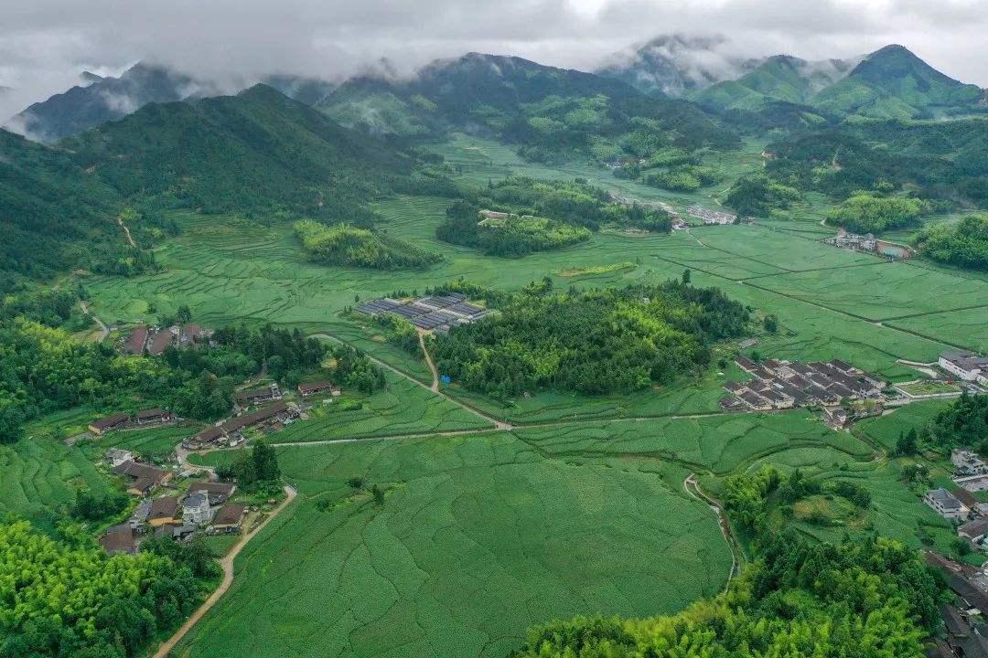 景宁畲族自治县自然资源和规划局发布最新发展规划纲要