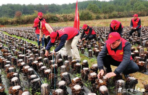 青原区退役军人事务局领导团队介绍