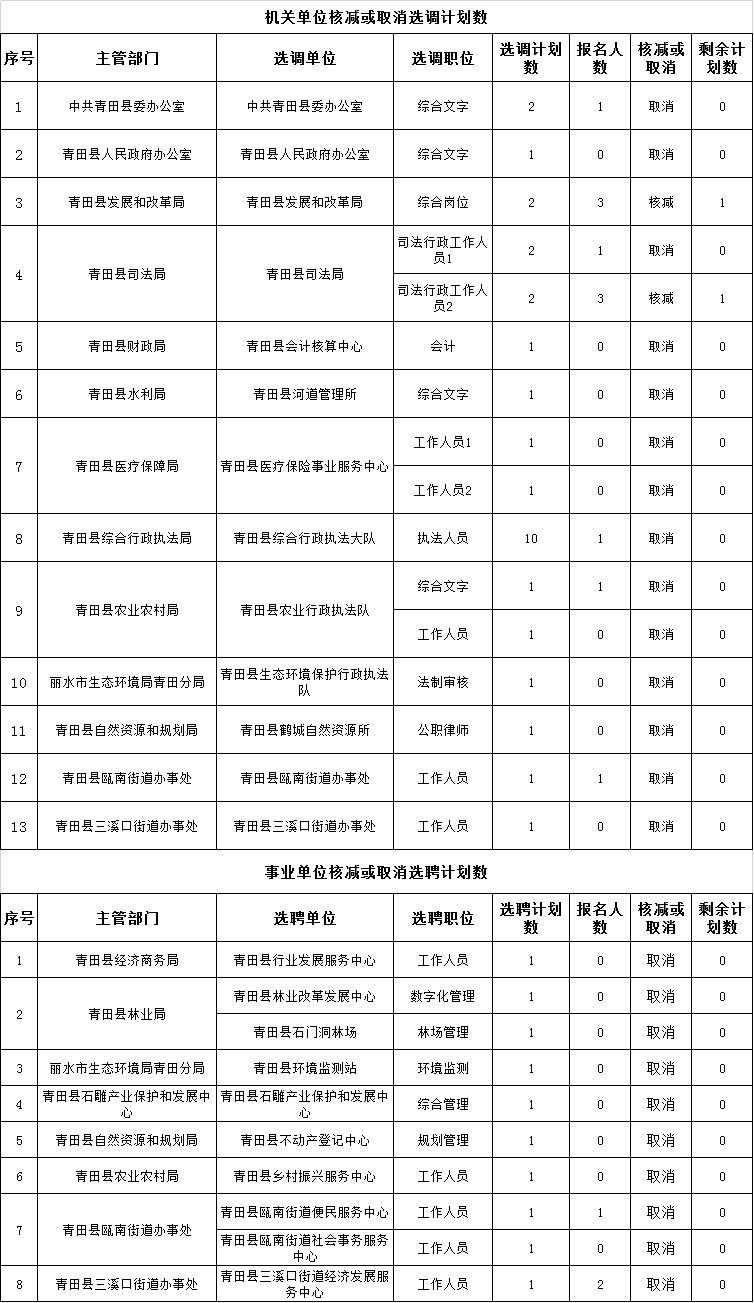 青田县康复事业单位发展规划展望