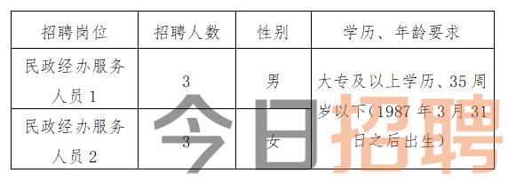 泉山区民政局最新招聘信息全面解析