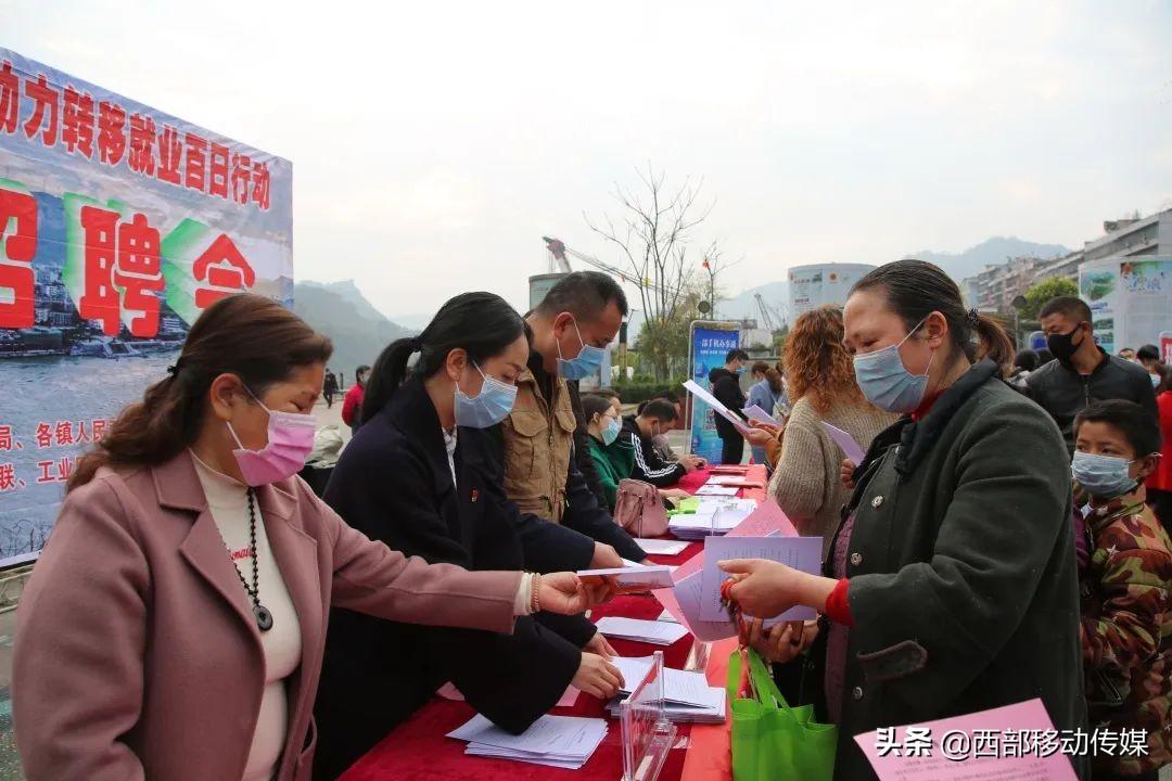 水富县计生委最新招聘启事与招聘信息发布