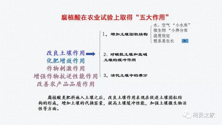 农民巷东社区人事调整推动发展新篇章