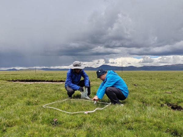 玉树藏族自治州社会科学院最新研究动态速递