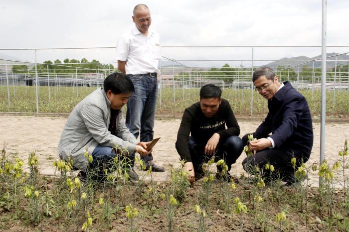 澳门正版免费资料大全新闻,动态词语解释落实_视频版86.366