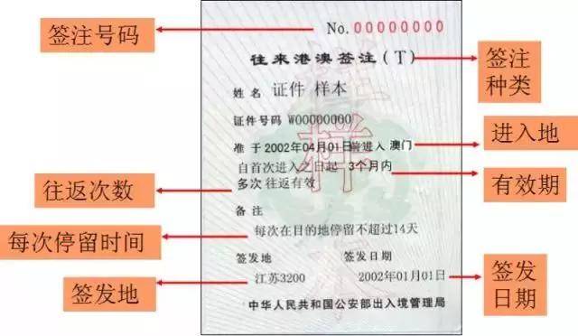 330期澳门码开奖结果,实践策略设计_顶级版81.604