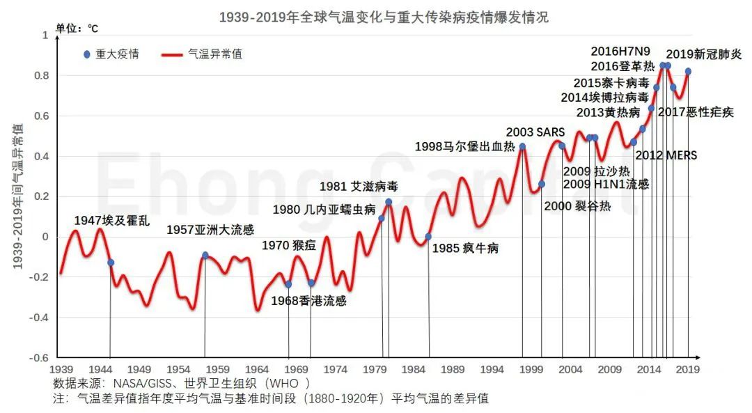 111333.соm查询新澳开奖,精细计划化执行_潮流版81.290