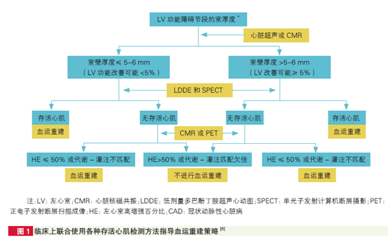 最精准一肖100%准确精准的含义,标准化流程评估_UHD42.301