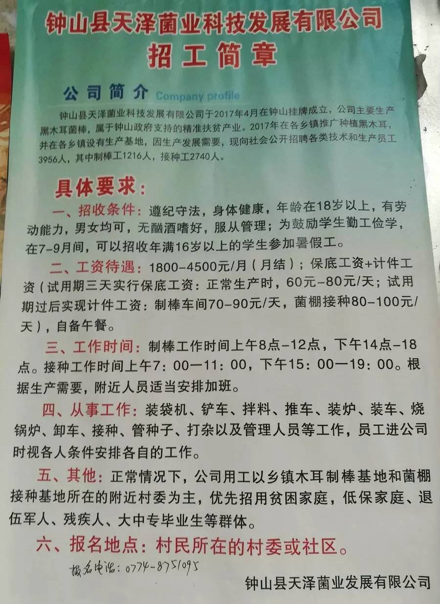 洛贵村最新招聘信息全面解析