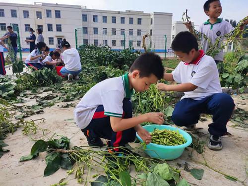 桓台县人民政府办公室发展规划概览