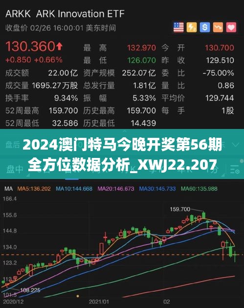 2024年澳门特马今晚,全面数据分析方案_策略版62.713