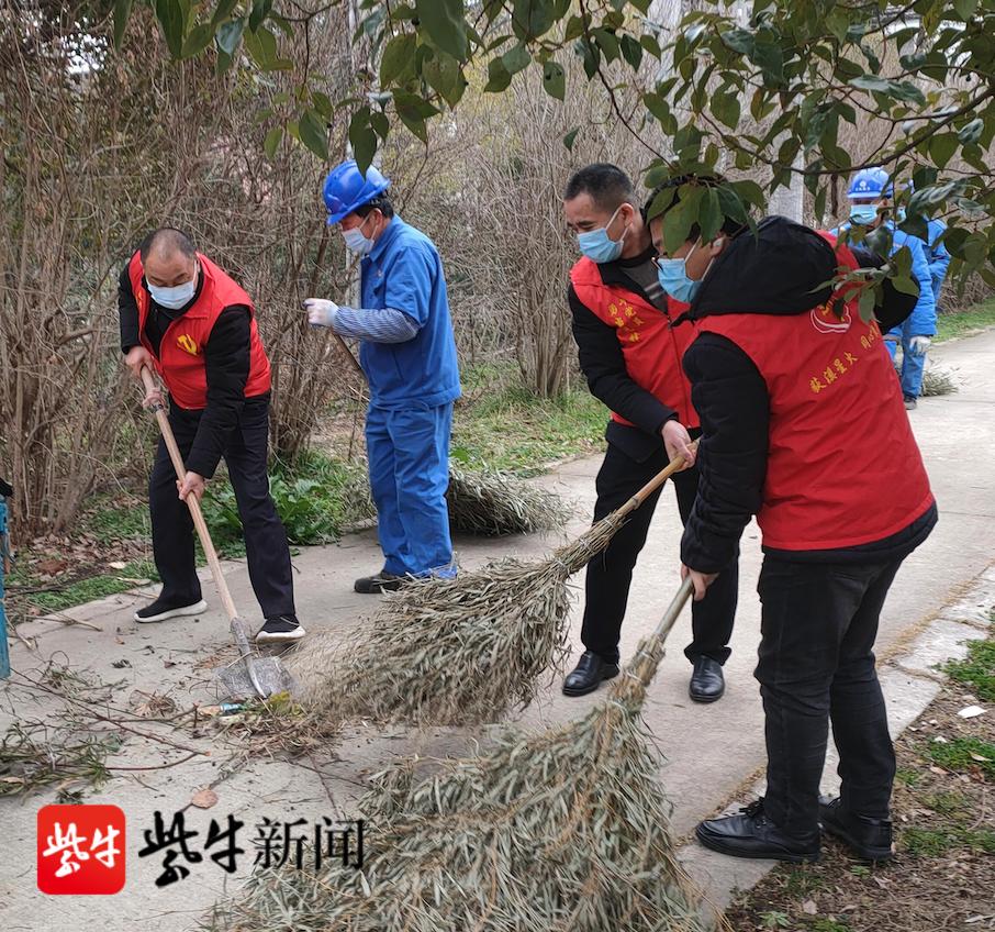 太平区卫生健康局最新动态更新报道