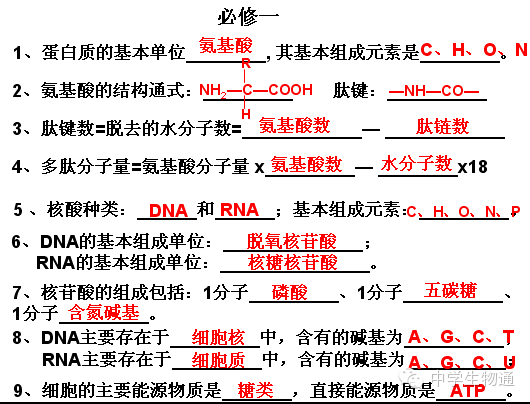 新澳精准资料免费提供生肖版,经典解析说明_高级版49.467