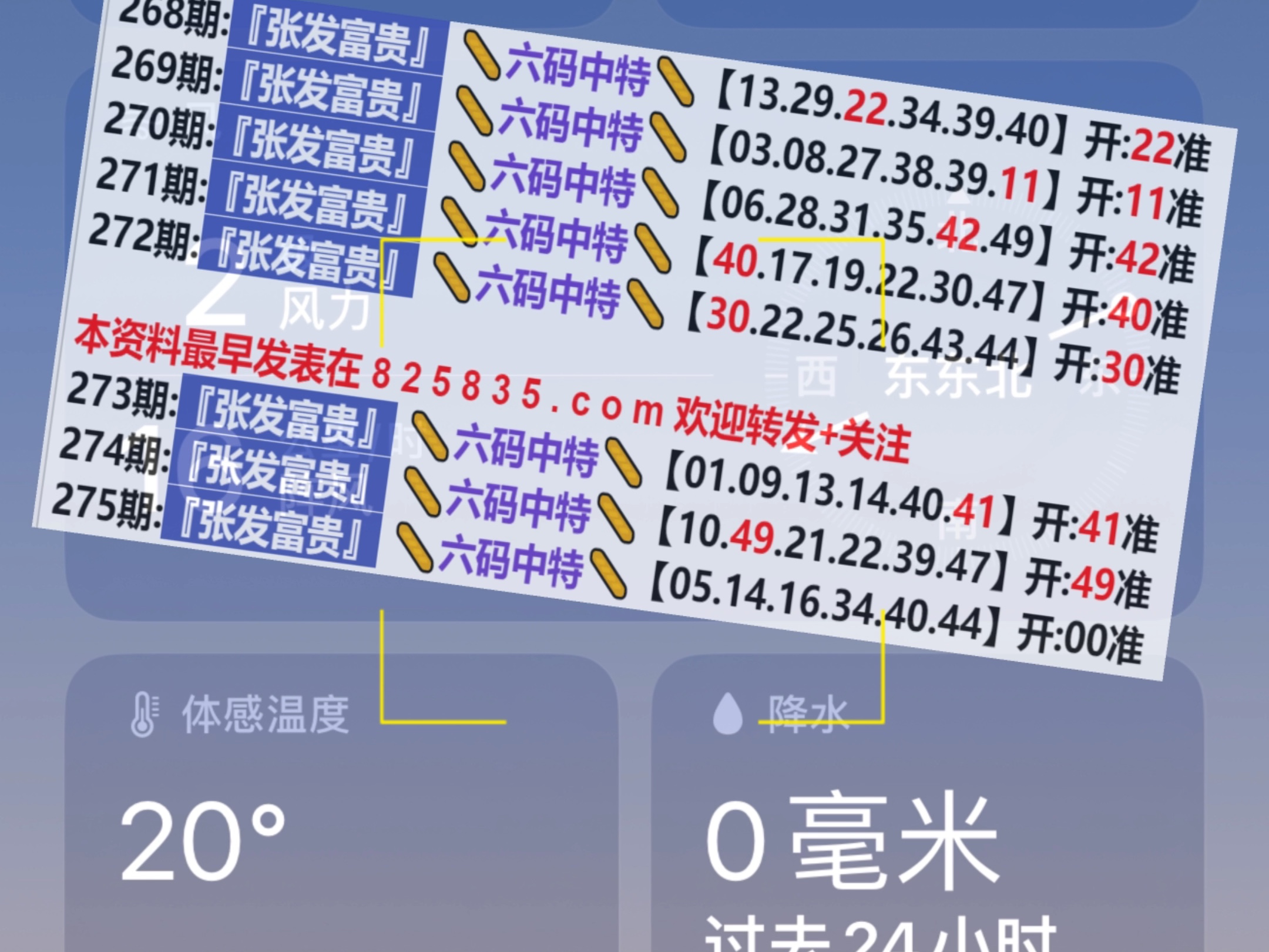 2024年新奥门天天开彩,深度应用数据解析_QHD版77.233