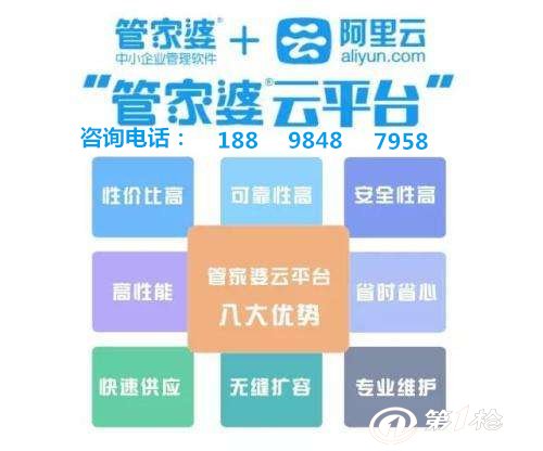 管家婆的资料一肖中特,灵活解析实施_Max39.142