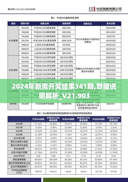 2024新奥开码结果,专业说明评估_Tizen88.406