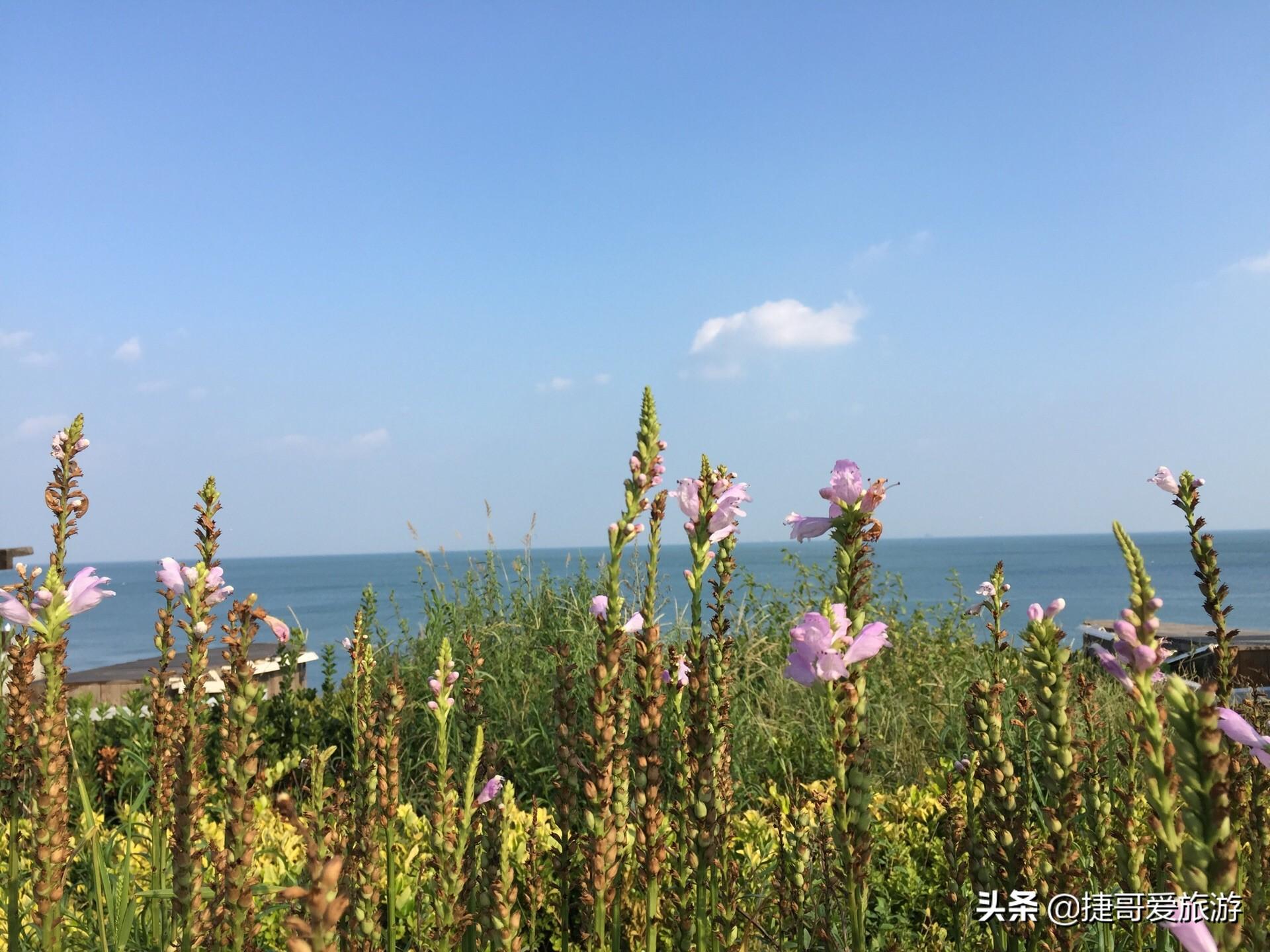 山底下村民委员会重塑乡村道路，交通新动向助力乡村振兴