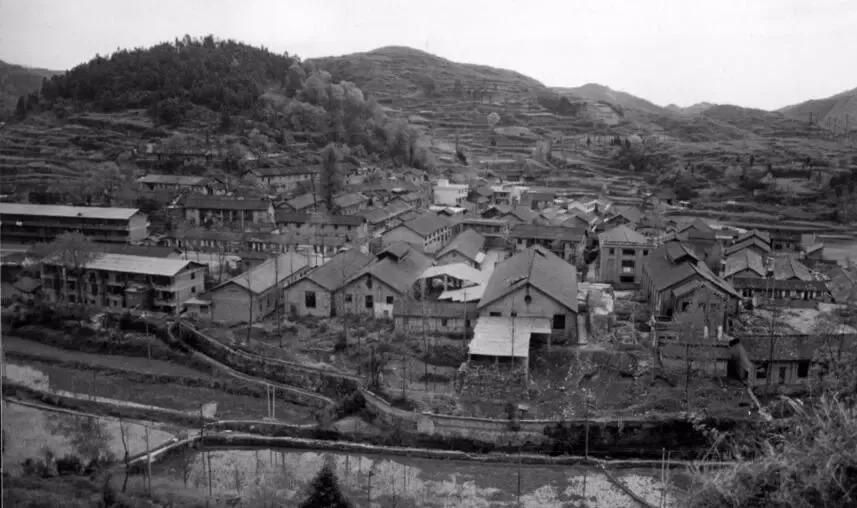 万山特区住房和城乡建设局最新项目概览及进展