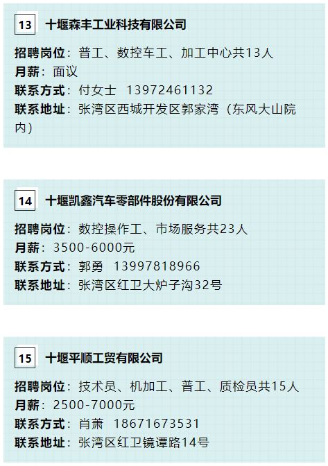 叶村最新招聘信息全面解析