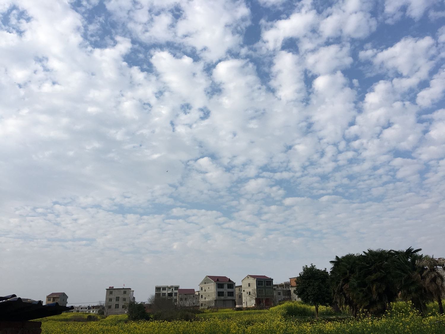 银塘镇天气预报更新通知