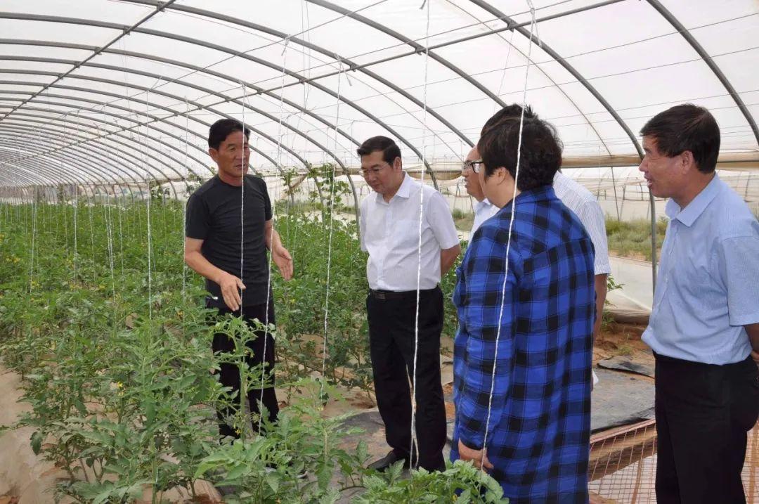 天祝藏族自治县文化广电体育和旅游局最新招聘信息及其深远影响