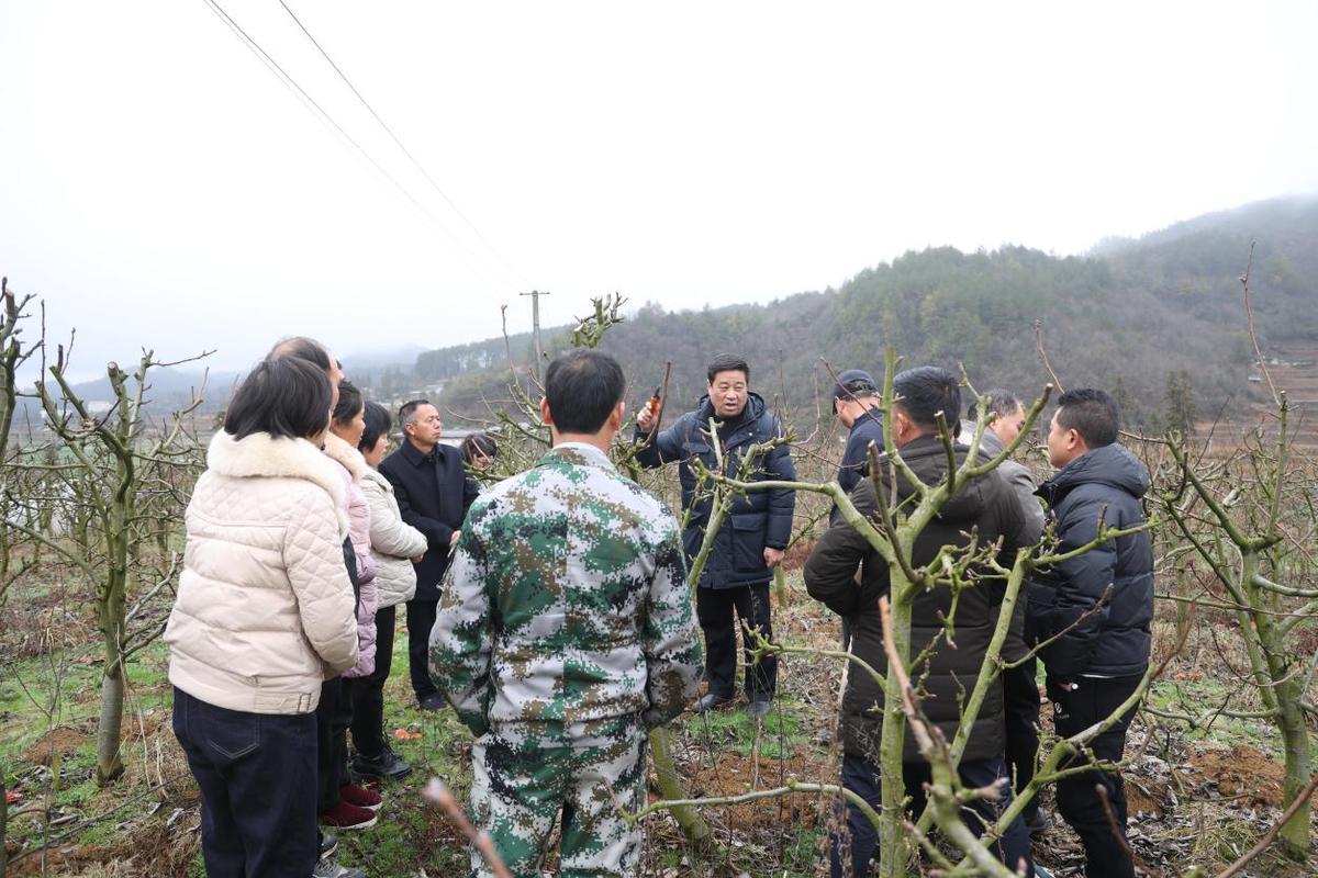 锦屏县科技局领导团队最新概述