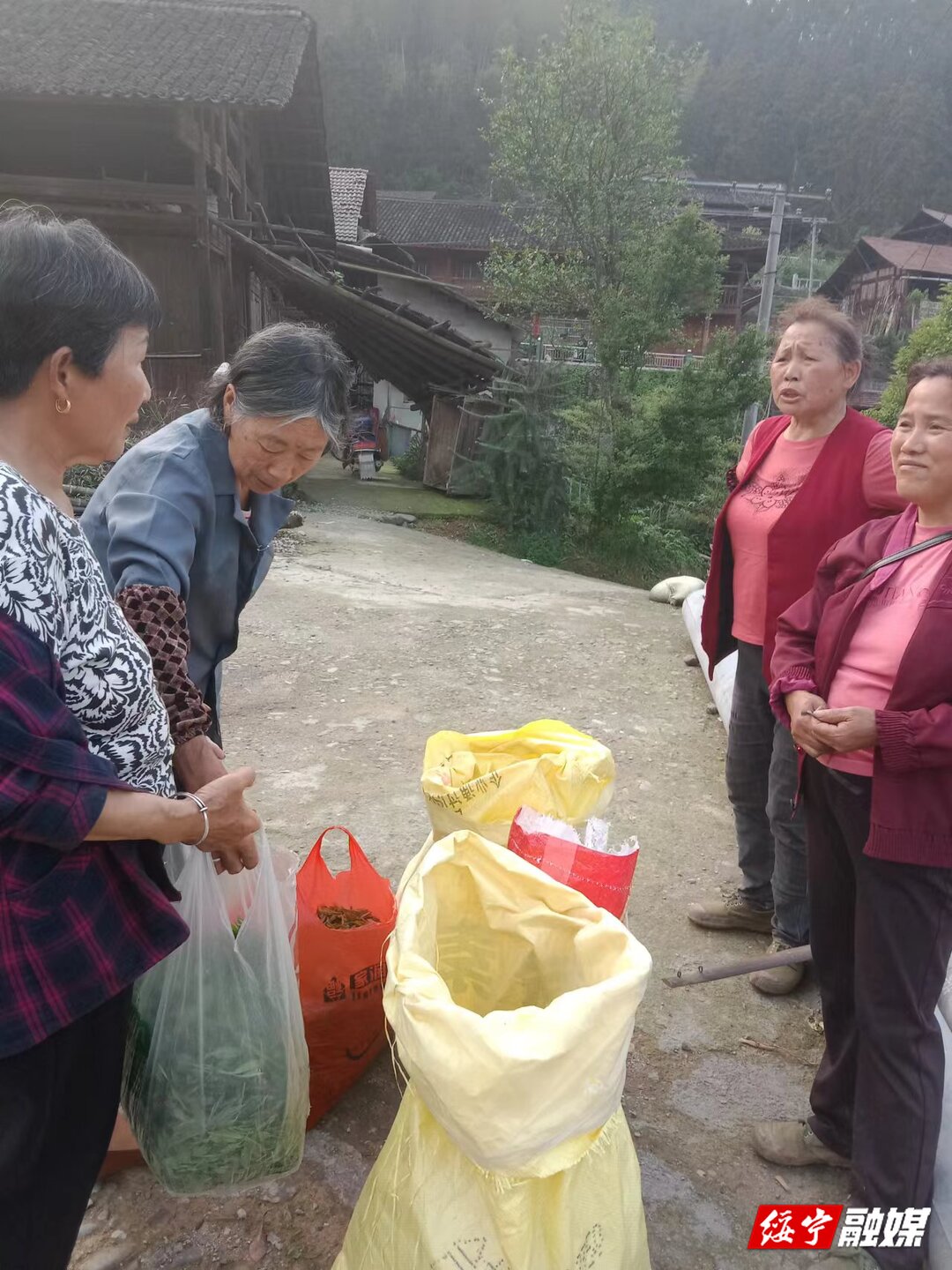 瓦屋塘乡新项目启动，乡村振兴新引擎