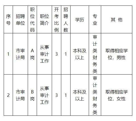 暗夜追风 第3页