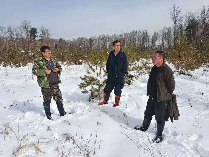 林甸镇最新项目，引领地方发展的强大引擎启动点