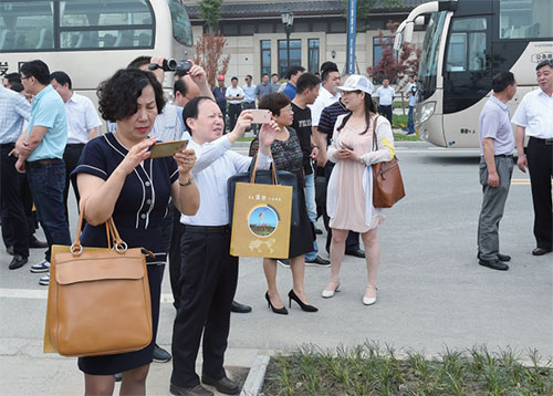 龙东街道办事处最新动态报道