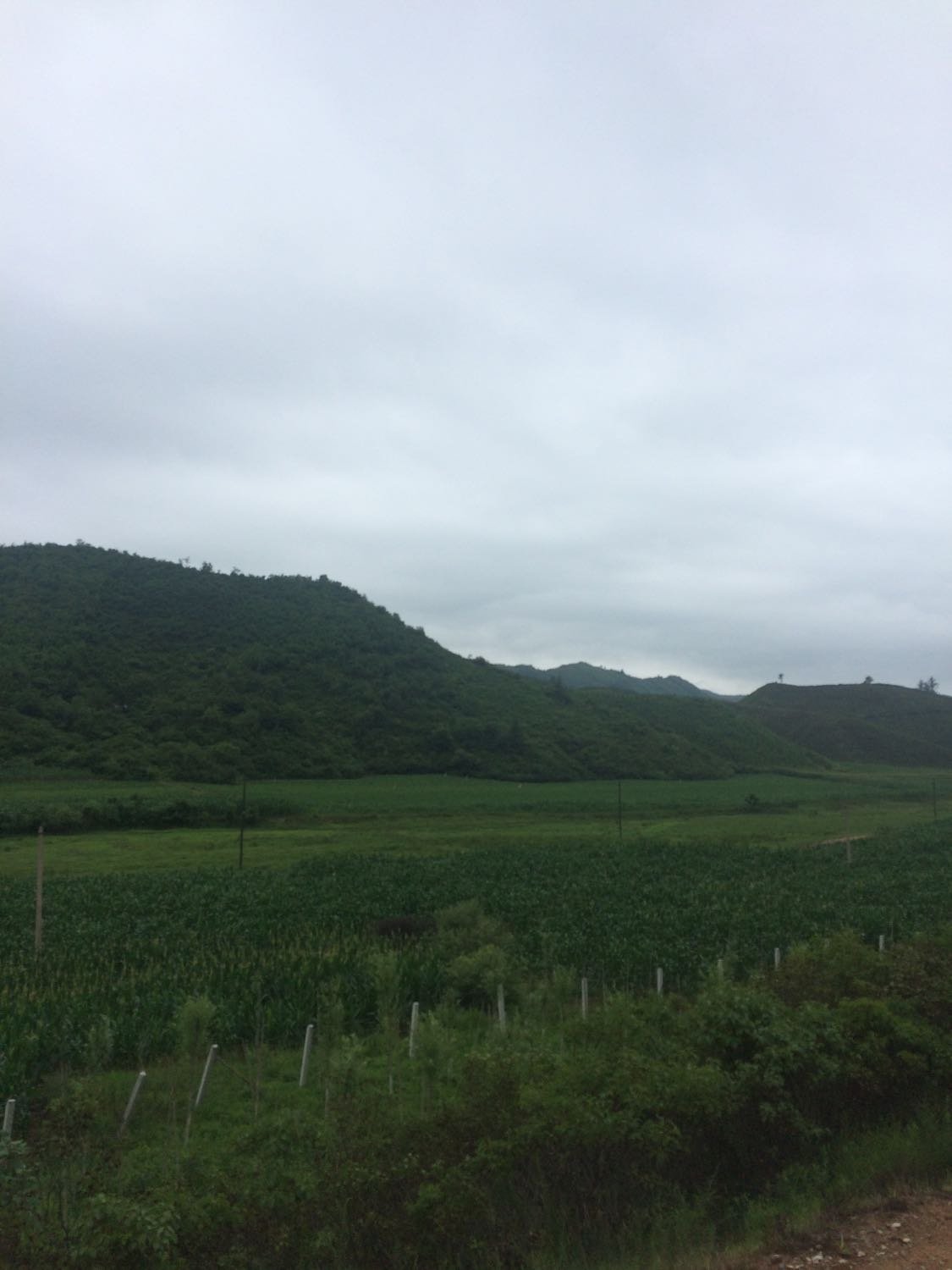 石河满族镇天气预报更新通知