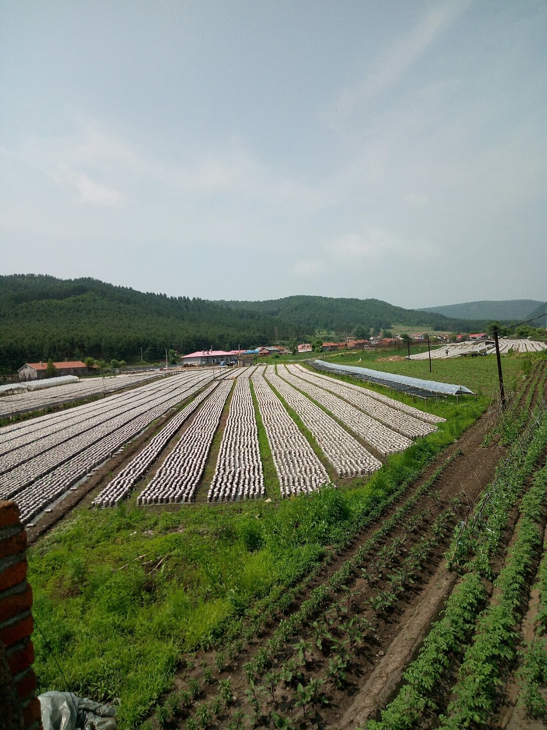 山河屯林业局天气预报更新通知