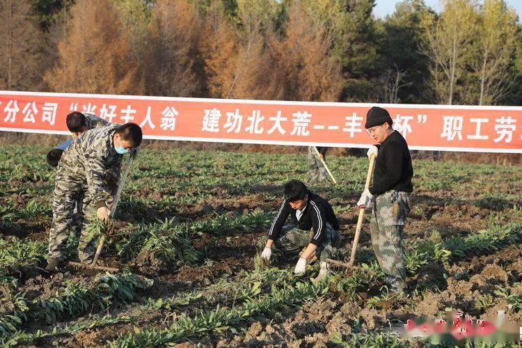 松花江农场新项目引领农业现代化，助推区域经济发展