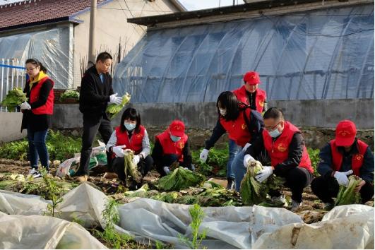 辽源市市国家税务局最新动态报道