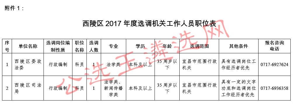 夷陵区人力资源和社会保障局新项目启动，助力人力资源与社会保障事业飞跃发展