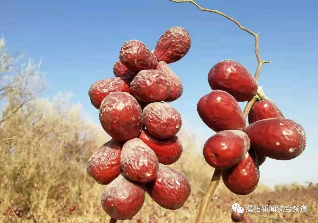 中原区文化广电体育和旅游局最新项目，推动区域文化体育事业繁荣发展