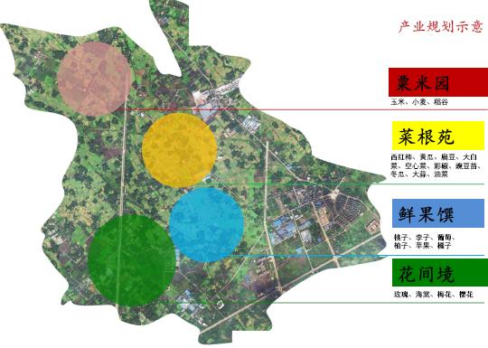 天宁区农业农村局最新发展规划概览