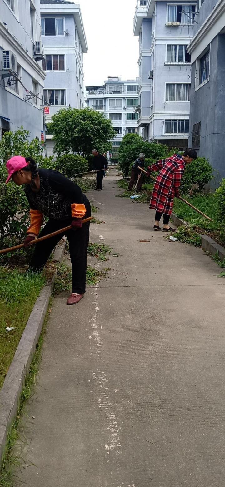 江南街道最新招聘信息总览