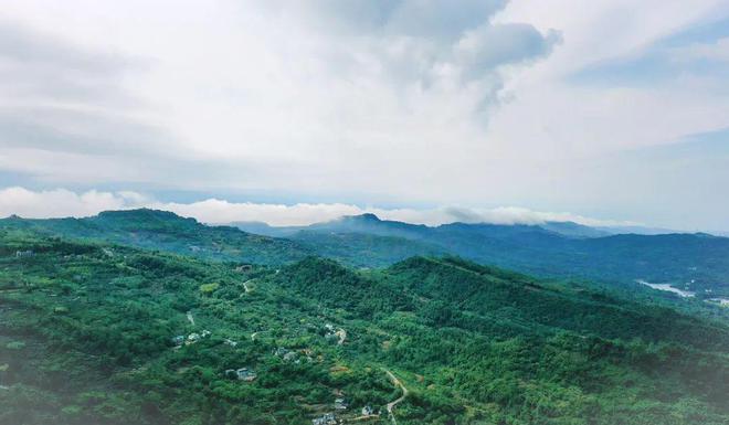 夏果村典范项目，引领乡村发展的领航者