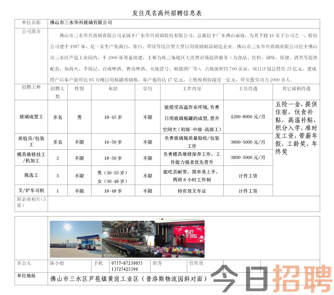 马义村最新招聘信息全面解析