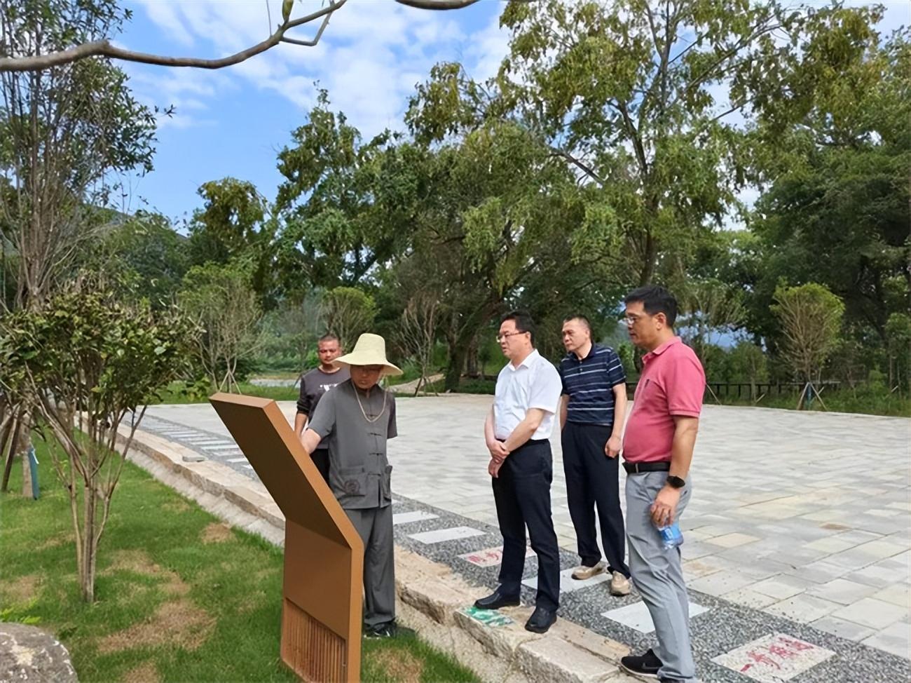 王台镇新项目，地区发展的强大引擎驱动力