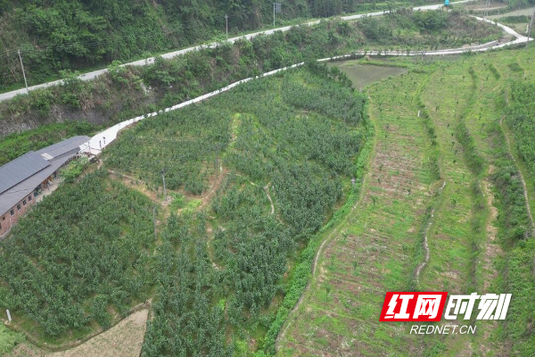 城步苗族自治县自然资源和规划局最新项目进展报告，推动县域绿色高质量发展新篇章