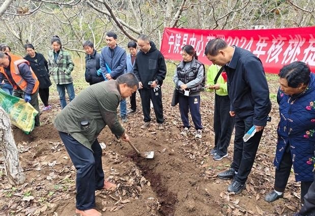 核桃庄乡最新招聘信息汇总