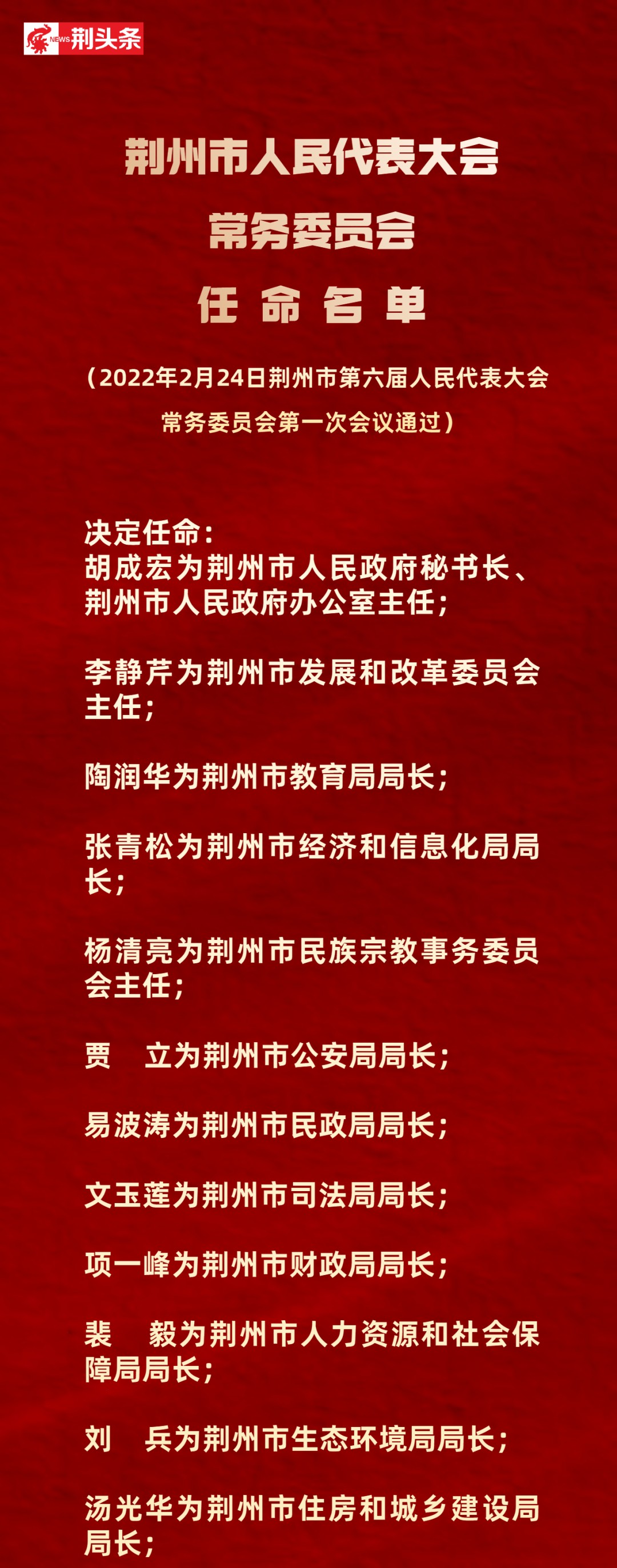 荆州市行政审批办公室人事任命，推动行政效能跃升的关键举措