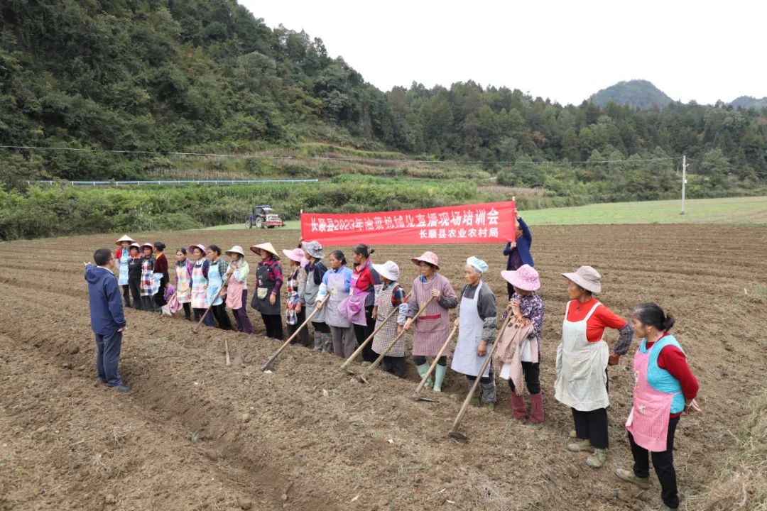 丰收乡新项目引领乡村发展新征程