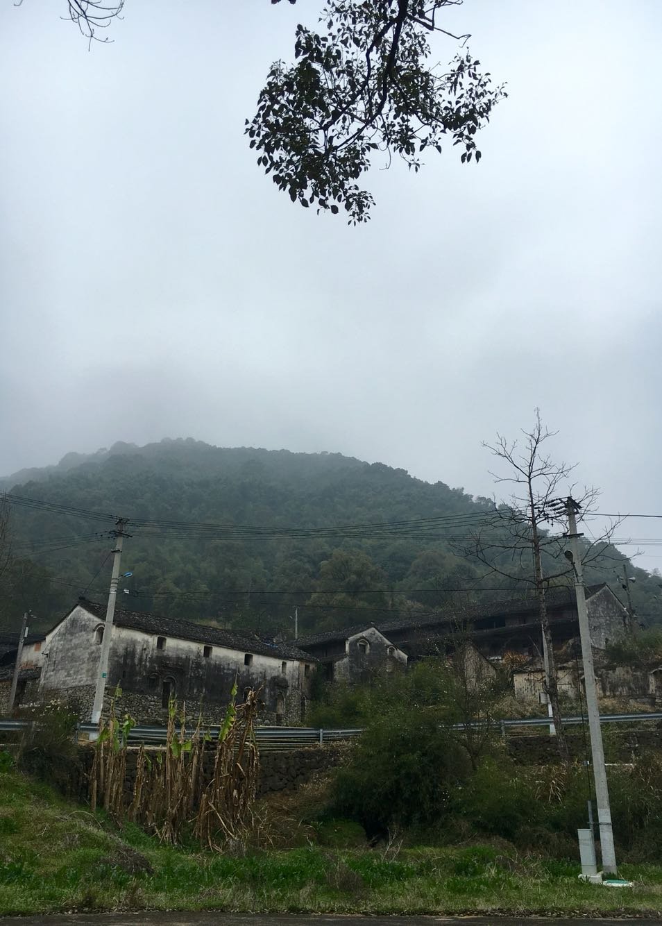 然塘村天气预报更新通知