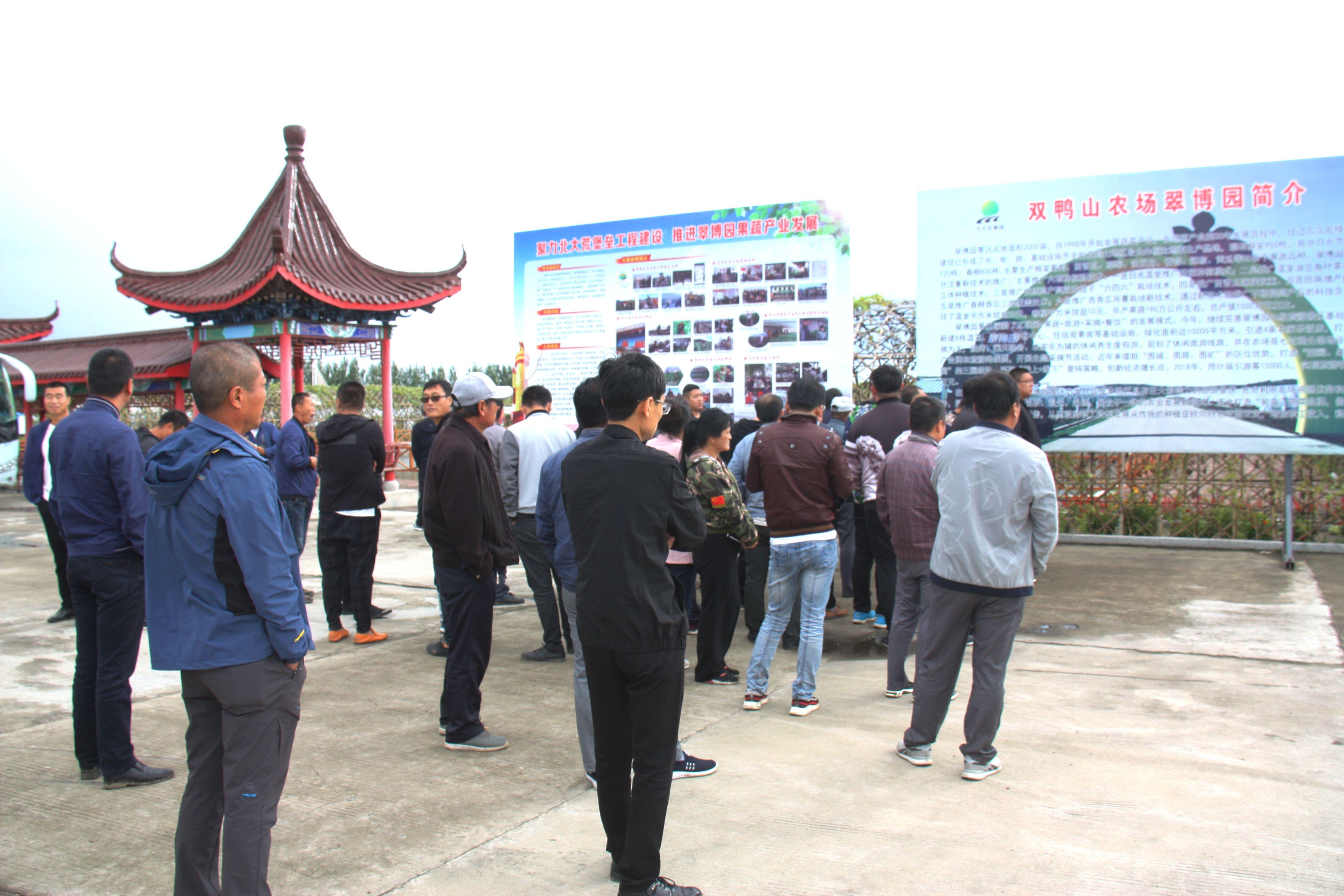 双鸭山农场全新发展规划概览