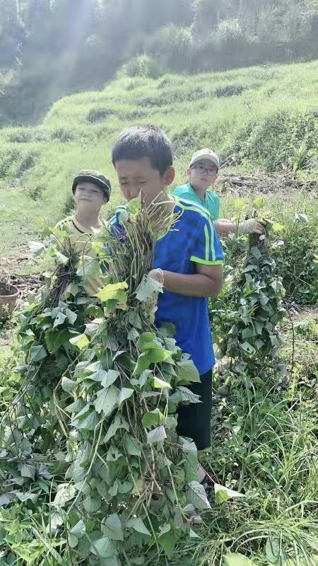 江州区体育局推动体育事业发展，打造活力江州新篇章