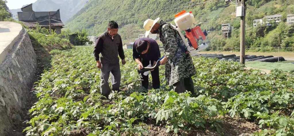 城口县农业农村局最新发展规划概览