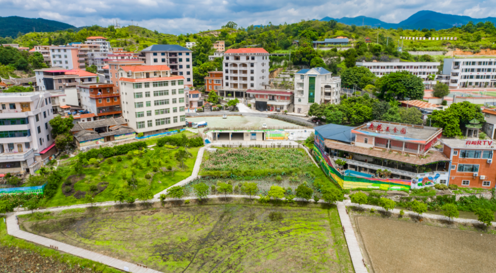 鲁甲村委会重塑乡村，引领走向繁荣新篇章